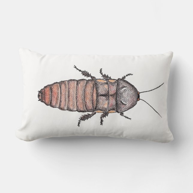 Coussin de cafard (Recto)