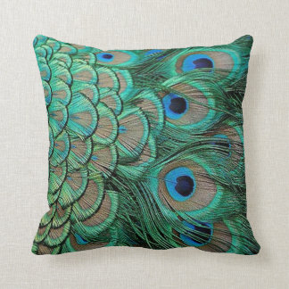 coussin de caisses de plume de paon