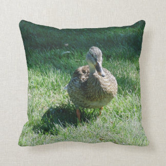 coussin de canard