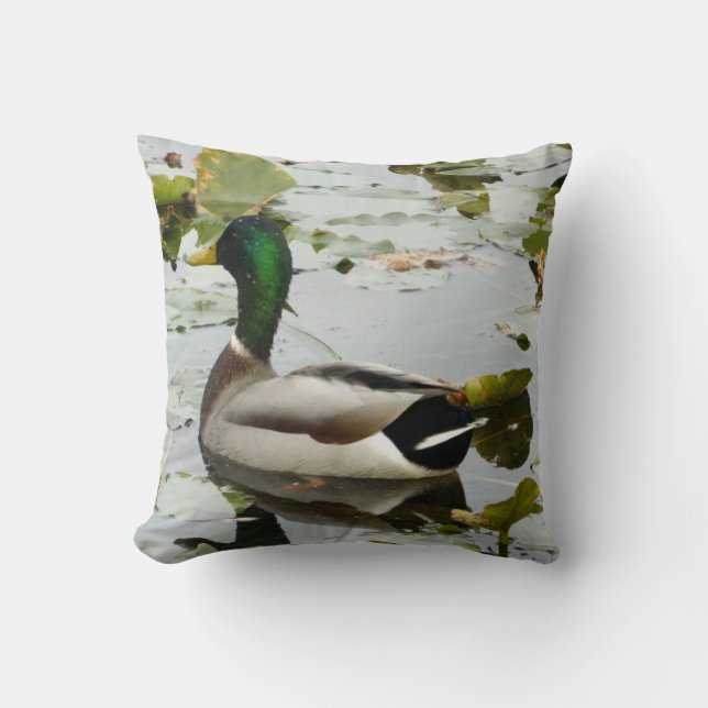 Coussin de canard de Mallard (Recto)