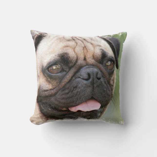 Coussin de carlin (Recto)