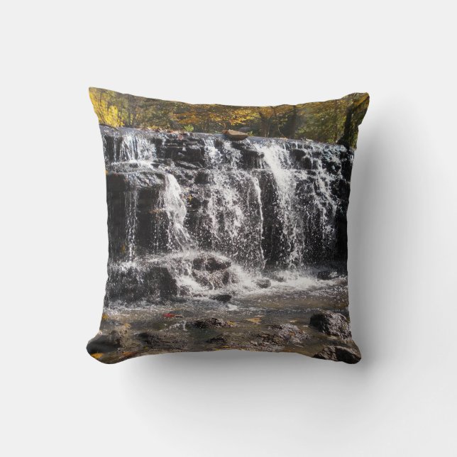 coussin de cascade (Recto)