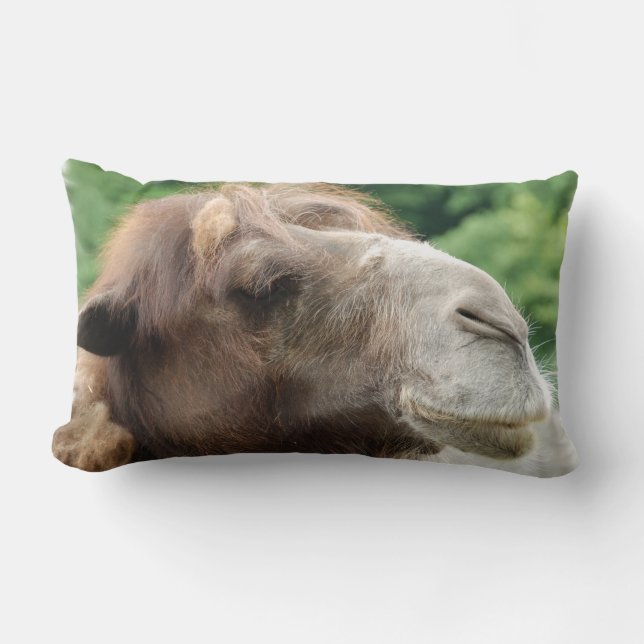Coussin de chameau Arabe (Recto)