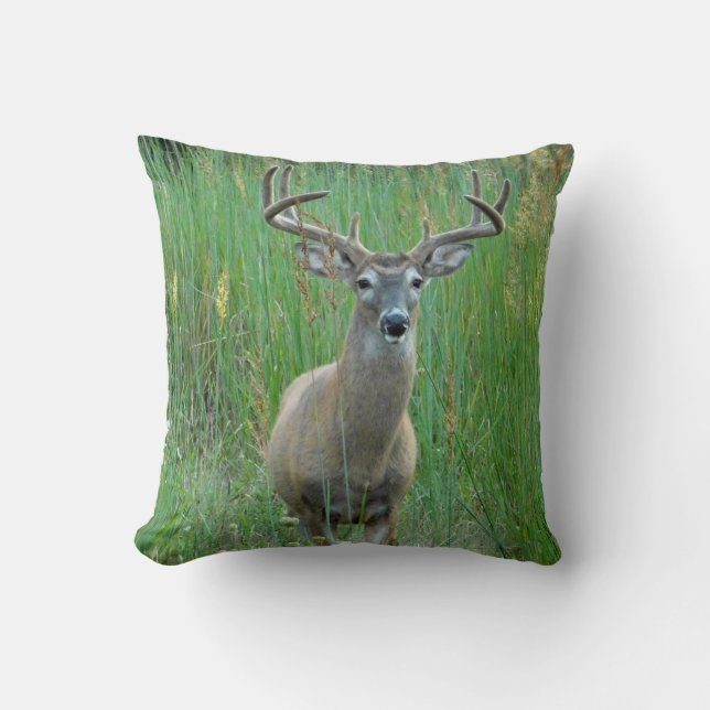 Coussin de champ vert de cerf blanc (Recto)