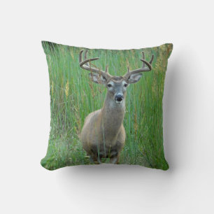 Coussin de champ vert du cerf de Whitetail