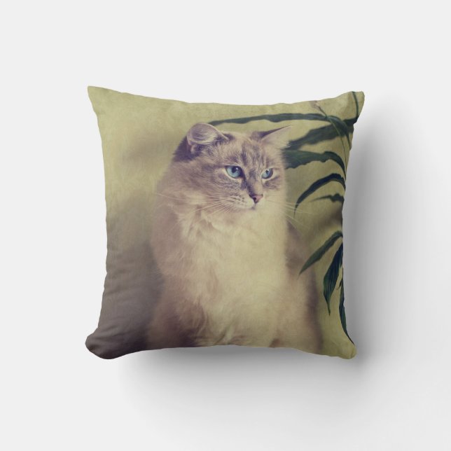 Coussin de chat de Ragdoll (Recto)