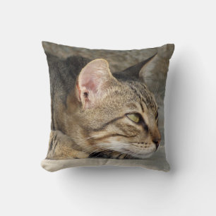 Coussin de chat tigré