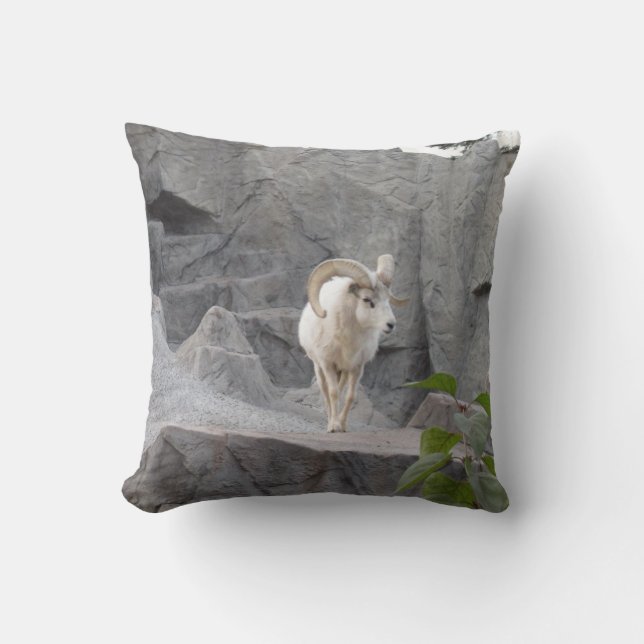 Coussin de chèvre de montagne (Recto)