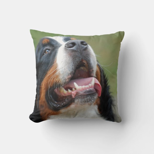 Coussin de chien de Berner Sennenhund (Recto)
