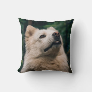 Coussin de chien mignon et duveteux, Maison pour a