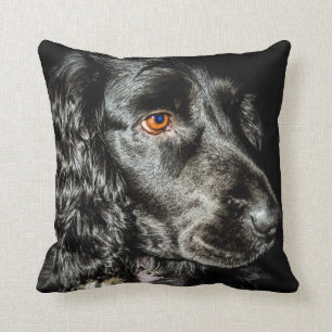 Coussin de chien noir