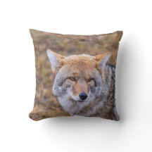 Coussin de Chien sauvage de Coyote