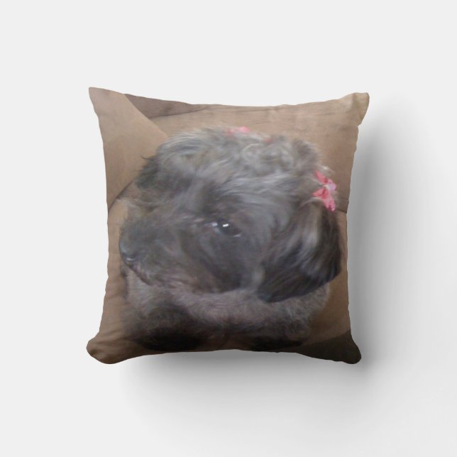 coussin de chiot (Recto)