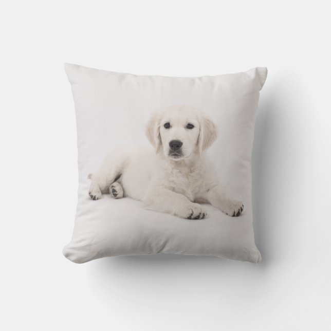 Coussin de chiot de chien de Golden Retriever (Recto)