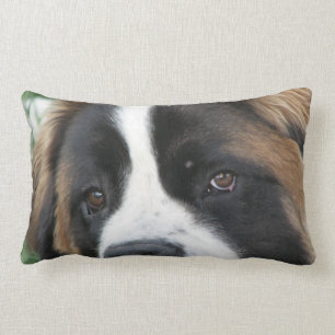 Coussin de chiots de St Bernard