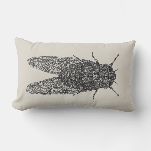 coussin de cigale (Recto)