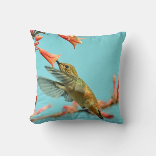 Coussin de colibri (Recto)