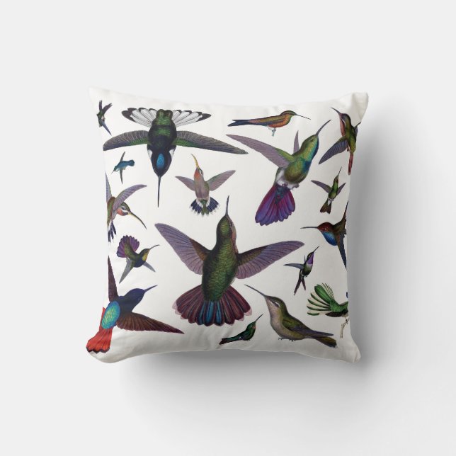 Coussin de colibris (Recto)