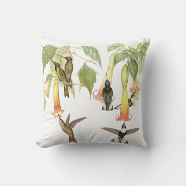 Coussin de colibris de Goulds (Recto)