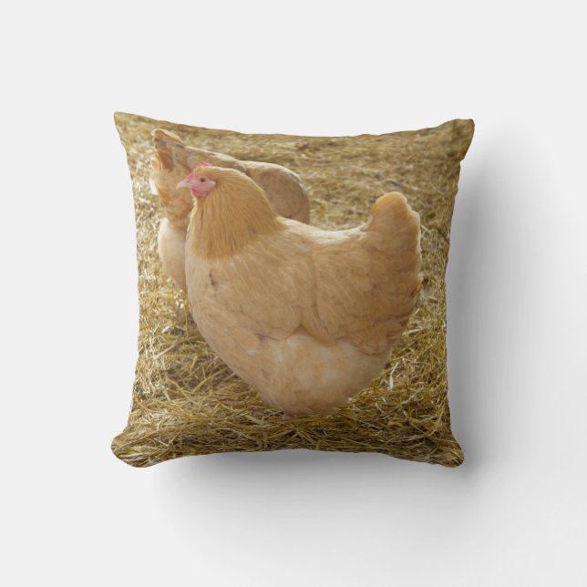 Coussin de couleur chamois d'Orpington (Recto)