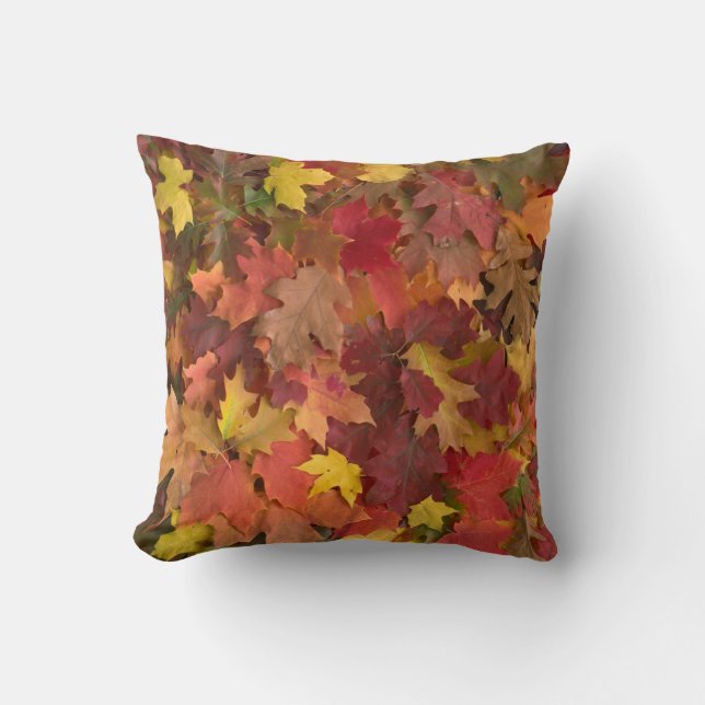 Coussin de couleurs mélangé par feuille de chute (Recto)