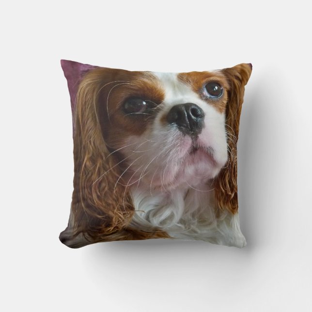 coussin de coussin Cavalier King Charles Spaniel (Recto)