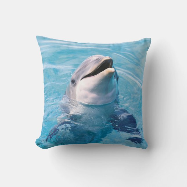 COUSSIN DE COUSSIN DE DAUPHIN (Recto)