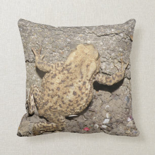 Coussin de crapaud mignon