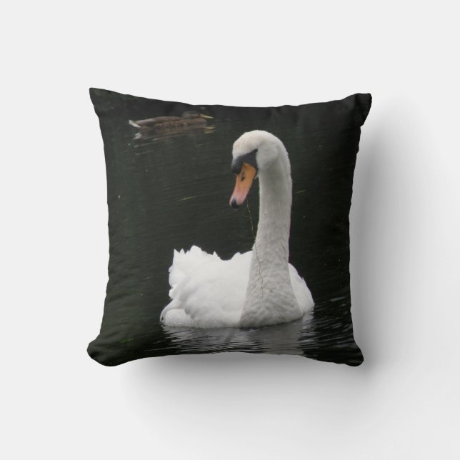 Coussin de cygne blanc (Recto)