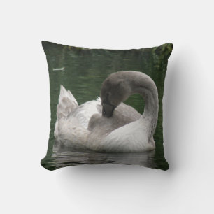 Coussin de cygne endormi