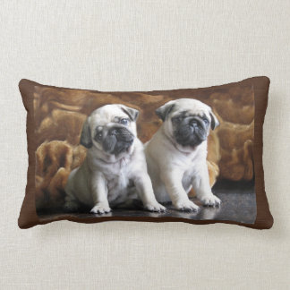 Coussin de deux carlins