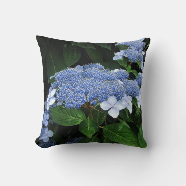 Coussin de ~ d'hortensia de Lacecap (Recto)