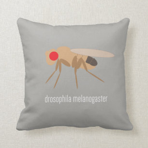 Coussin de drosophile