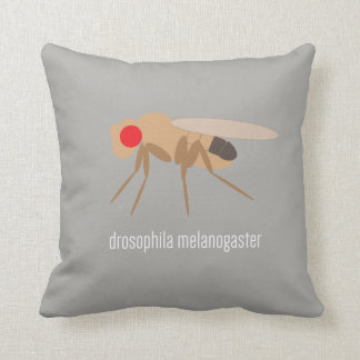Coussin de drosophile