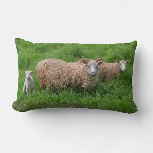 Coussin de famille de moutons (Recto)