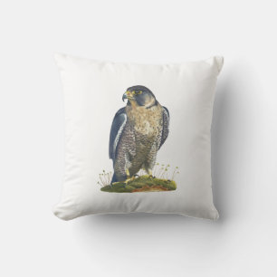 Coussin de Faucon pèlerin