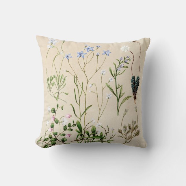 coussin de ferme botanique vintage fleurie françai (Recto)