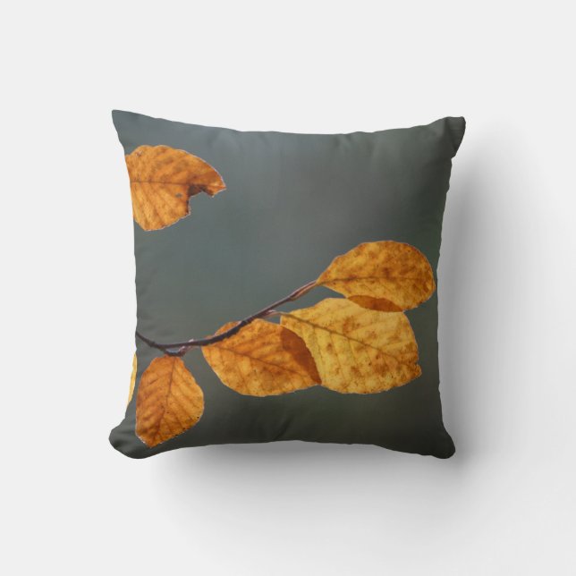 Coussin de feuille de hêtre (Recto)