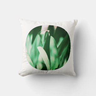 Coussin de feuilles de Clivia vert pâle