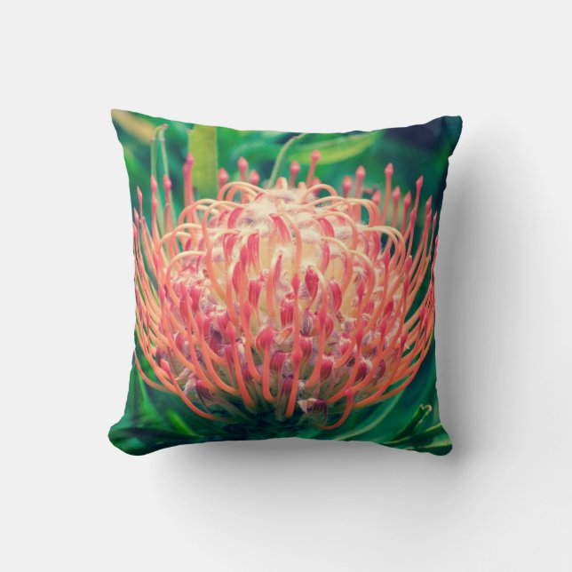 coussin de fleur (Recto)