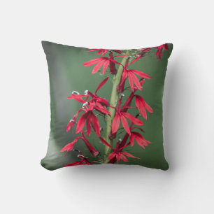 Coussin de fleurs cardinal rouge