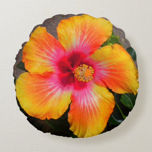 Coussin de fleurs de feu (Devant)