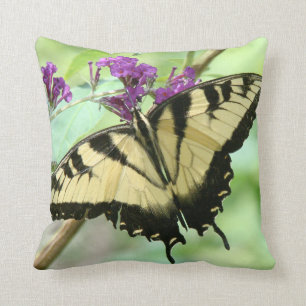Coussin de fleurs de papillon
