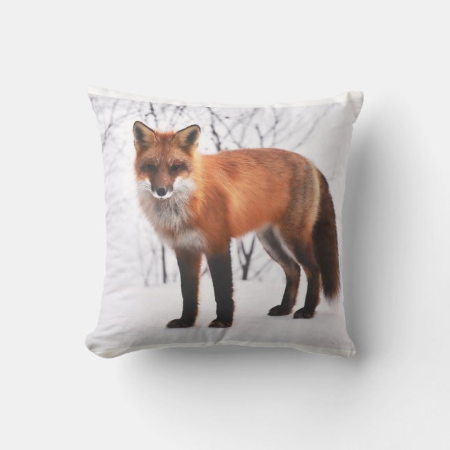 Coussin de Fox rouge (Recto)