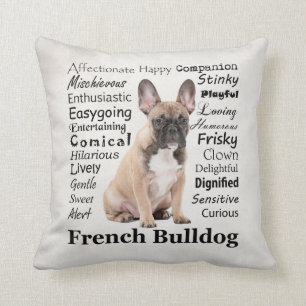 Coussin de Frenchie Traits