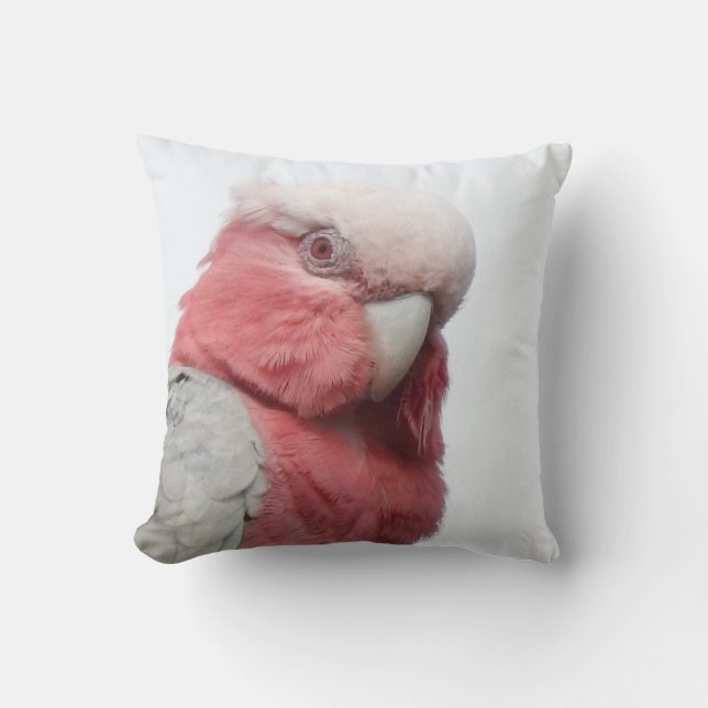 Coussin de Galah (Recto)