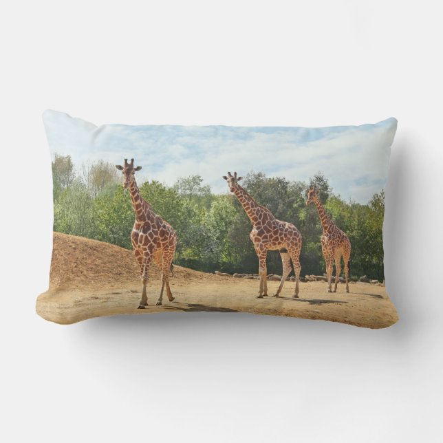Coussin de girafes (Recto)