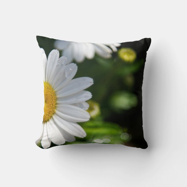 Coussin de gouttelettes d'eau marguerite (Recto)