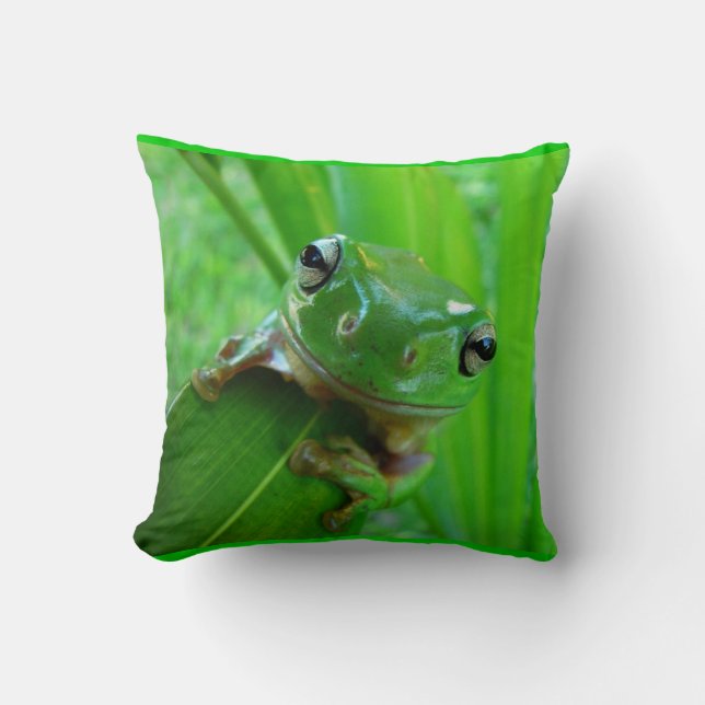 Coussin de grenouille à arbre vert (Recto)
