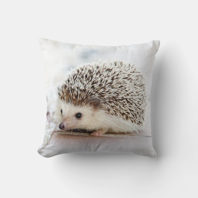 Coussin de Hérisson (Recto)
